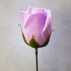 c11a0aa4-f95c-467c-bd55-0c9194abe5ec.jpg