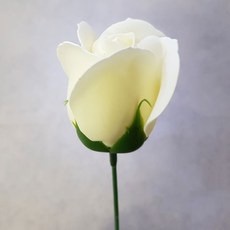 2d90f058-93ab-4460-8fe4-4b262028b7b0.jpg