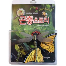 곤충백과