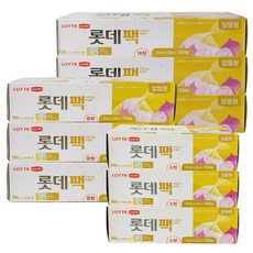 e100중형