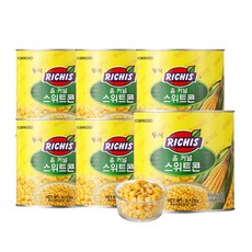 동서 리치스 홀 커널 스위트 콘, 2125g, 6개