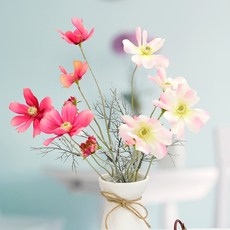 2d06c91e-627e-402f-a900-a9812944bb18.jpg