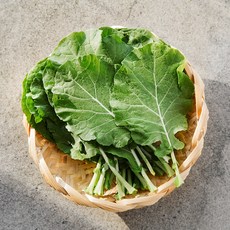 //상품명