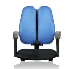이편한의자 T자 메쉬 의자 Q3001, 블루