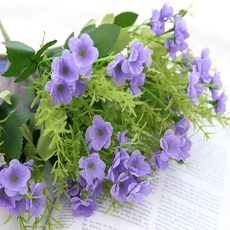 b7d7000e-96bb-4722-8aa0-ad7bcc0d6e4f.jpg