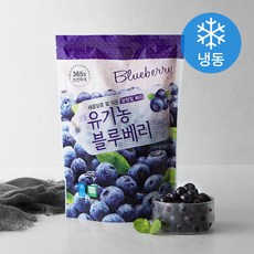 호재준 유기가공식품인증 블루베리 (냉동)