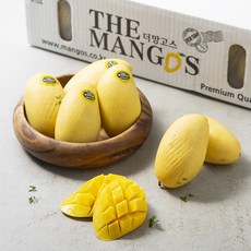 더달 필리핀 망고, 5000g(24입), 1개