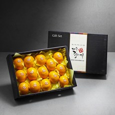 귤림원 제주 GAP 인증 천혜향 세트, 3kg (12~16입), 1세트
