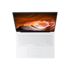 LG전자 2020 그램 17 노트북 17ZD90N-VX50K (I5-1035G7 43.1cm), NVMe 256GB, 8GB, Free DOS