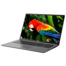 LG전자 2020년 그램17 노트북 17ZD90N-VX5BK (i5-1035G7 43.1cm), NVMe 256GB, 8GB, Free DOS