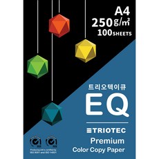 트리오텍이큐 컬러 복사용지 250g, A4, 100개