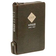 개역개정 비전성경 21C 찬송가 (중/진갈색), 두란노