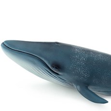 반디 해양 흰수염고래 소프트동물 피규어, 1개