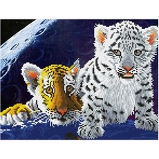 0d8c5a3e-ebc5-49da-b9d7-bc0b2ae89e24.jpg