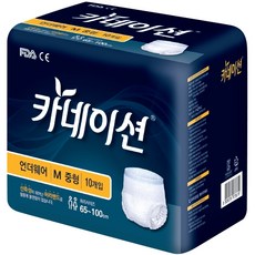 카네이션 남여공용 성인기저귀 언더웨어 M, 10매입, 1팩