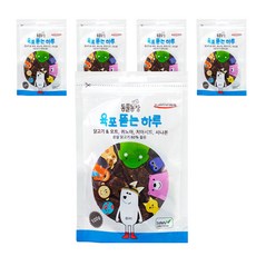 티비동물농장 육포뜯는 하루 강아지 육포 100g, 닭고기 + 오트 + 퀴노아 혼합맛, 5개