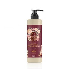 뷰티인앤아웃 블랙트러플 헤어 트리트먼트, 500ml, 1개