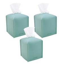 푸우티슈케이스