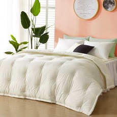 로프트가든모던솔리드