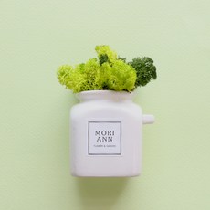 닥터모리엔내돈내산
