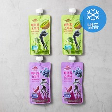 스무디킹 배터리스무디 키위 & 케일 200g x 2p + 블루베리 & 자색고구마 200g x 2p 세트 (냉동), 1세트