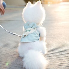 파스텔펫 내추럴 디자인 애견 하네스 그린 L, 혼합색상, 1개