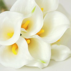 3c145b80-3210-4f3d-a8c9-23e481228137.jpg