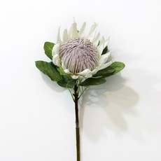 70f71783-6e59-4b8c-b9c2-611b7d67f881.jpg
