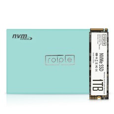 디오테라 NVMe SSD, 1TB, Roiple Ray