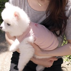 동동동북치고