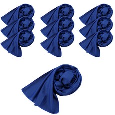 아리코 아이스 스포츠 쿨타올 스카프 10p, 블루