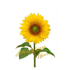 8c4b45e3-09d9-4694-ac37-919751577f95.jpg