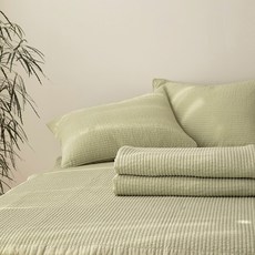 이브정원피그먼트