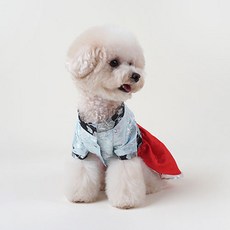 황진이한복