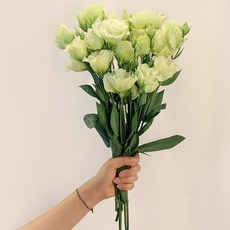 a1adece1-2a18-46a0-9877-ca7a67057ae9.jpg