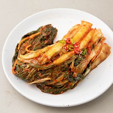 햇채원 얼갈이김치, 3kg, 1개