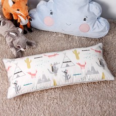 마이크로화이버베게속통