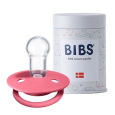 빕스 데니쉬 디럭스 노리개 젖꼭지 + 프리미엄 스틸케이스, 0~3세, 코랄
