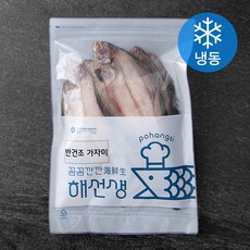 해선생 반건조 가자미 (냉동), 500g, 1개