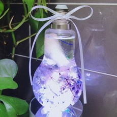 Robin Company乾燥花壓花圓形, 紫色的
