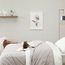 4c7ca601-9467-4d5b-b810-73c27444fde9.jpg