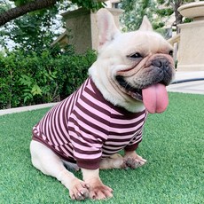 댕댕이샵