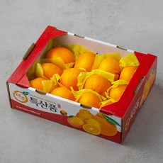 겨울엔 윈터프린스 만감, 2kg, 1팩