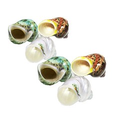 소라게쉘