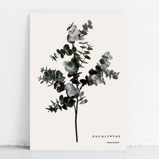 봄날프로젝트 식물 캔버스 포스터 유칼립투스