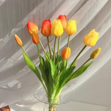 진심디자인