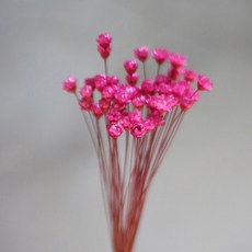 1dbf93ab-a4c2-4b1a-b150-bf4d61f5dbda.jpg