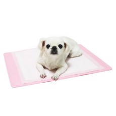 브라더펫 논슬립 강아지 방수 배변매트, 1개, 핑크