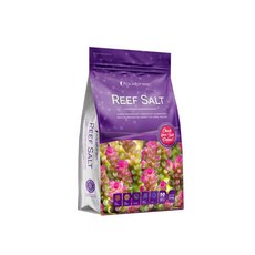 아쿠아컨트롤사쿠라