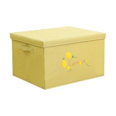 프레쉬 폴딩 리빙 박스 M, 레몬, 1개